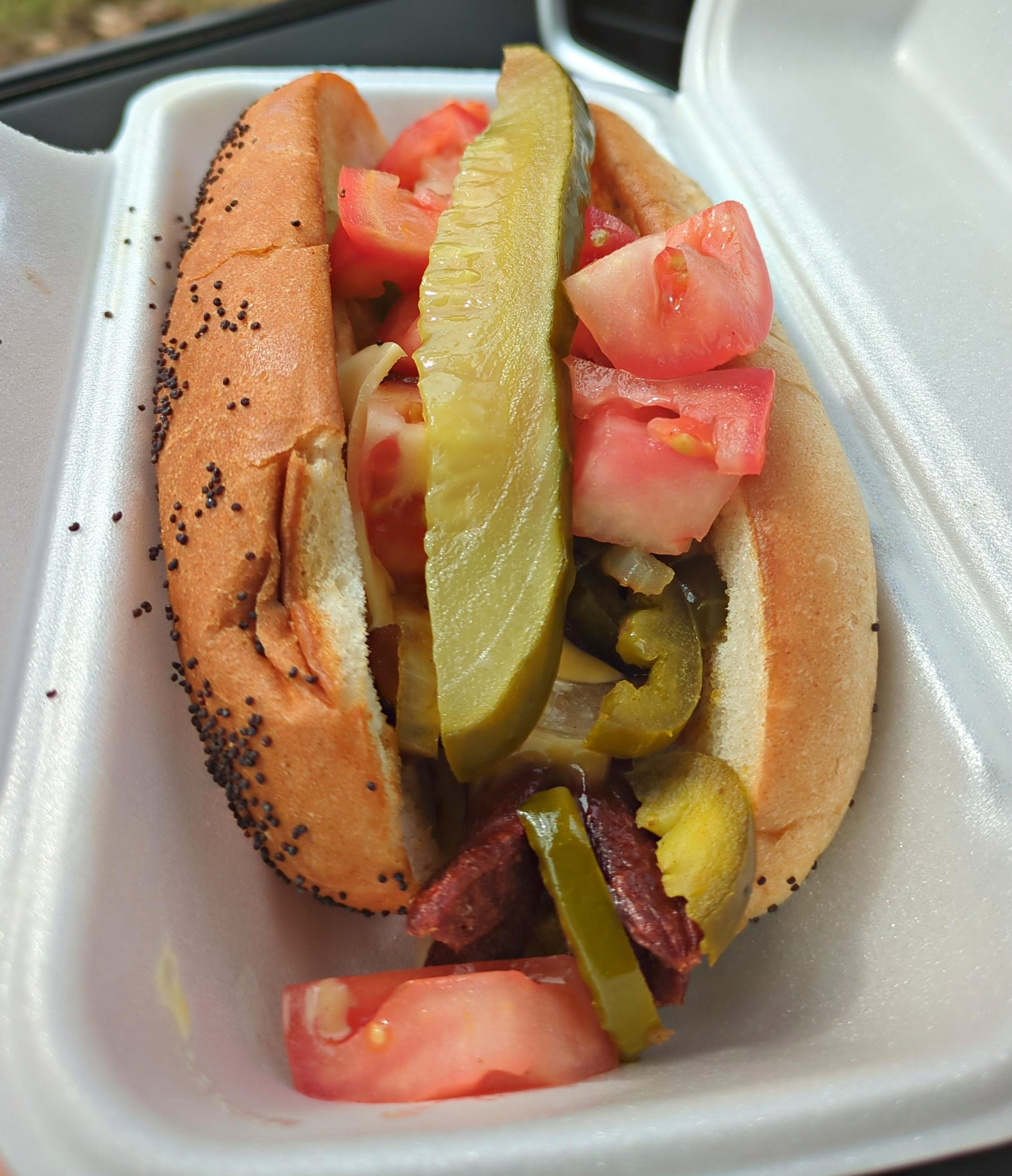 Vienna ripper in the container